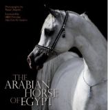 The Arabian Horse of Egypt, Dr. Nasr Marei