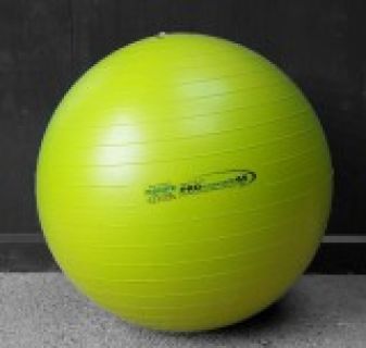 Pferdespielball 65cm
