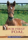 Your First Foal, Kattwinkel, K.