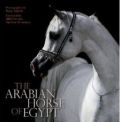 The Arabian Horse of Egypt, Dr. Nasr Marei