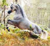 Fascination 2016
